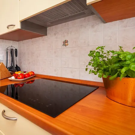 Apartments Martina Rovinj Exterior photo